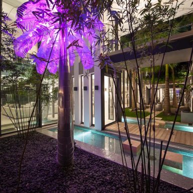 Villa Neo Pink Palm courtyard